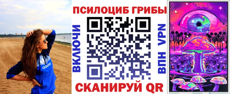 Галлюциногенные грибы Psilocybe  Далматово 